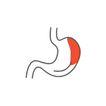 Gastrology